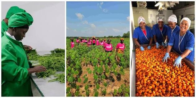 Nigeria Food Insecurity.